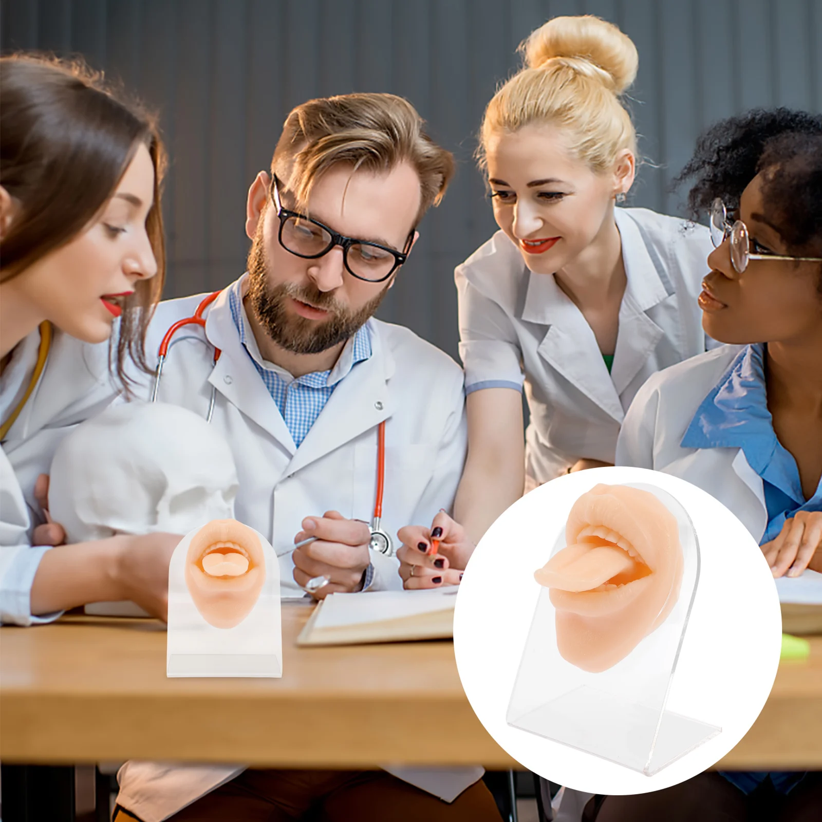 

Tongue Model Practicesimulation Mouth Silicone Display Mold Stand Supplies Trainingdisplays Rings Parts Bodyfake Human