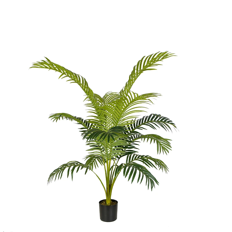 Купить Пальму В Горшке Спб