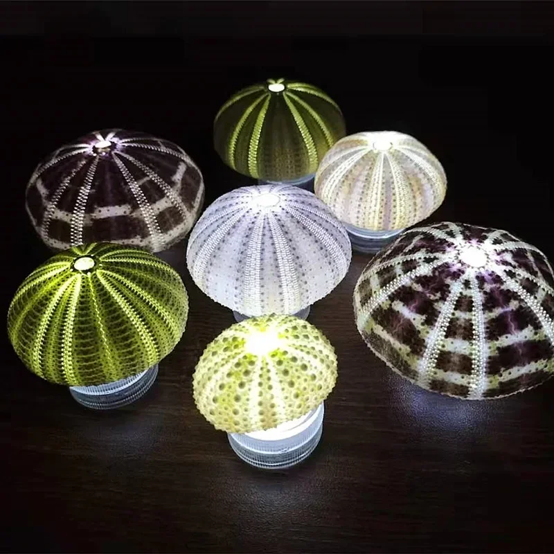 Ночник ракушка Aqumotic