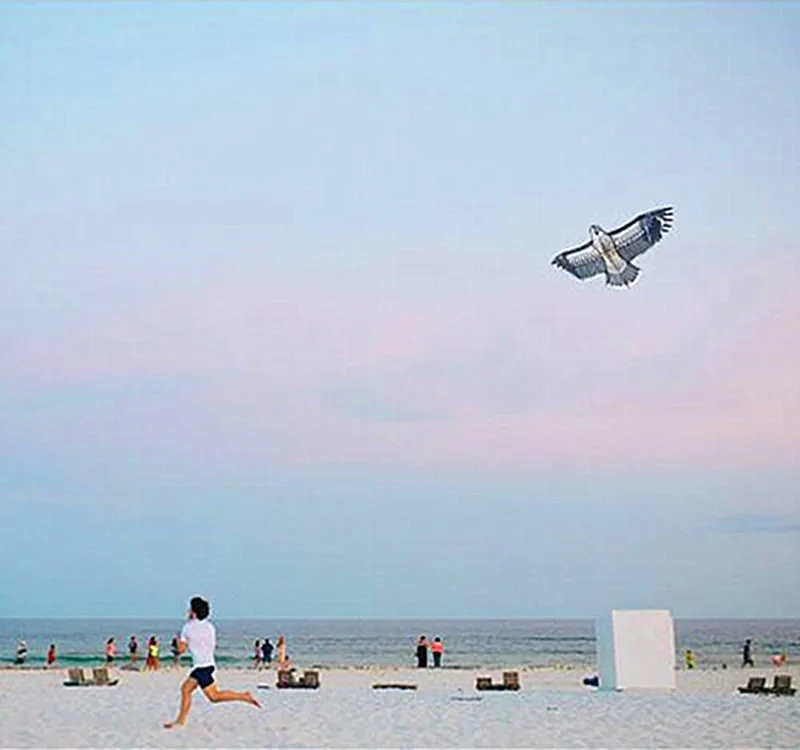 Бесплатная доставка орлиный змей летающая струнная линия для детей спортивные