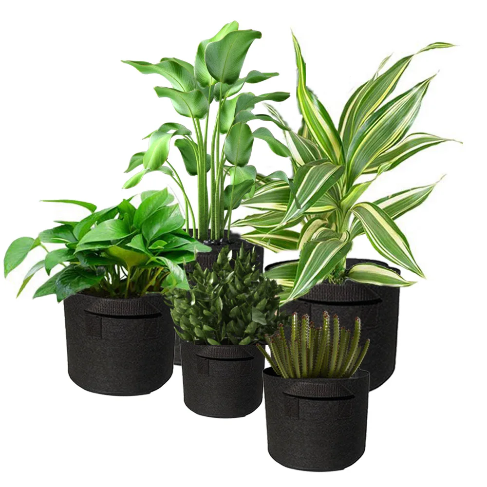 5Pcs 1-50 Gallon Grow Bags Felt Grow Bags W/ Handles Gardening Fabric Grow Pot Vegetable Growing Planter Flower Planting Pots images - 6