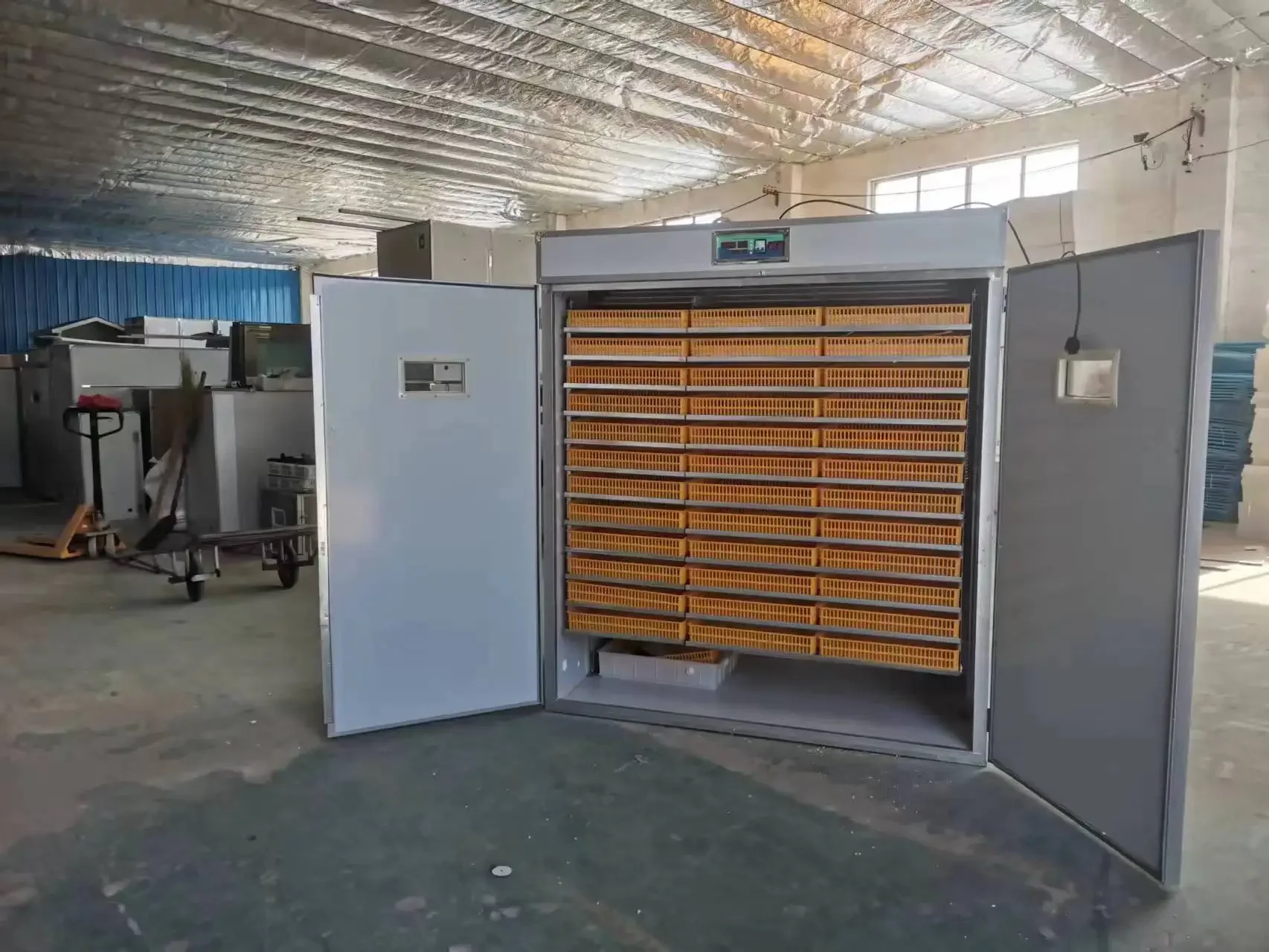 Коммерческий яичный инкубатор для продажи яиц 5280 автоматический