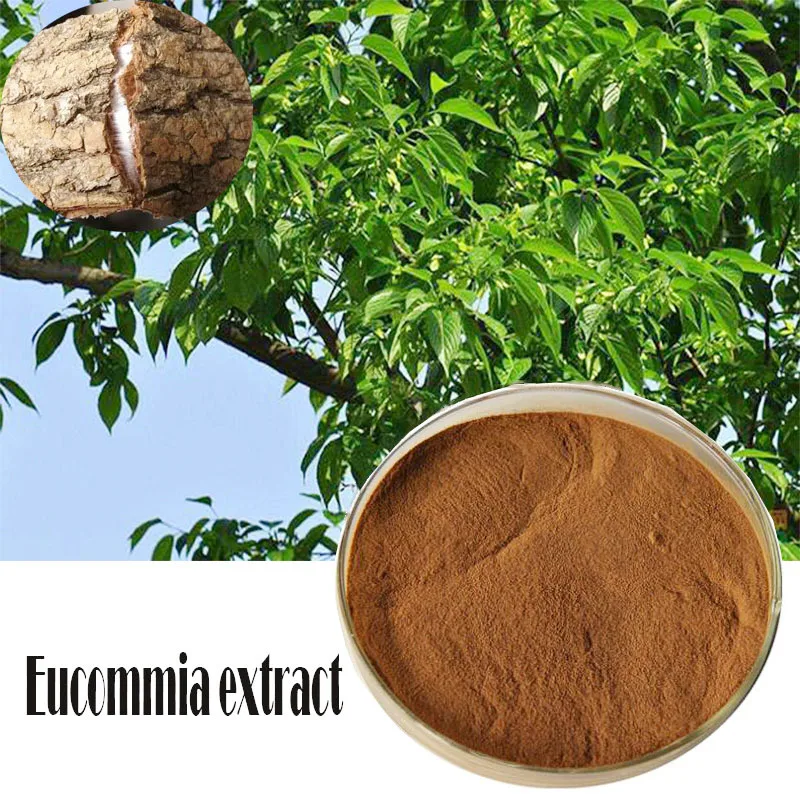 

Bark powder extract of Eucommia ulmoides to prevent muscle and bone aging 100/500g