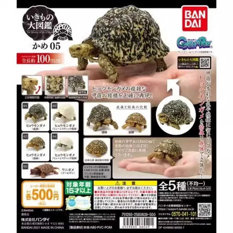 В наличии BANDAI оригинальная биологическая энциклопедия черепаха гасяпон