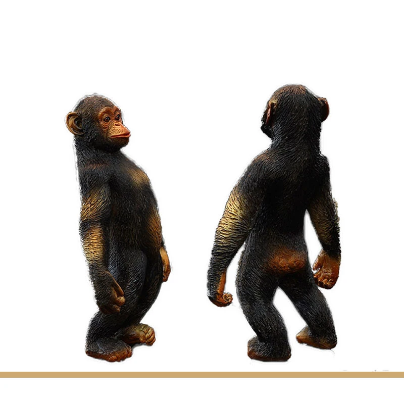

Новые реалистичные фермы, птица, твердая имитация, статуэтки Chimpanzee, фигурки из АБС-пластика, коллекционные модели, обучающие игрушки для детей