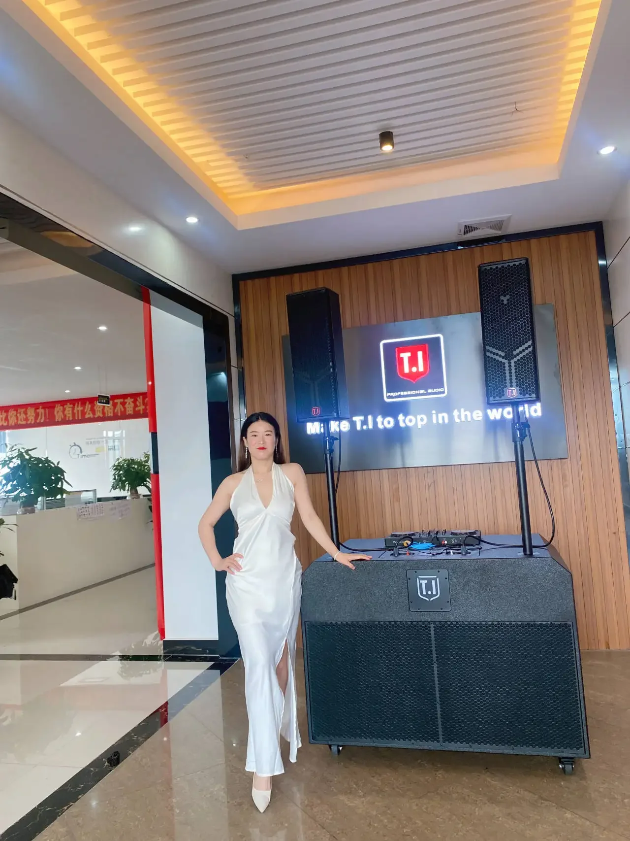 Профессиональный новый продукт набор мобильных звуковых систем Dj двойной