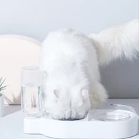 pet cat bowl automatic feeder dog cat food bowl with water fountain double bowl glass feeder pets accessories mascotas rongeur