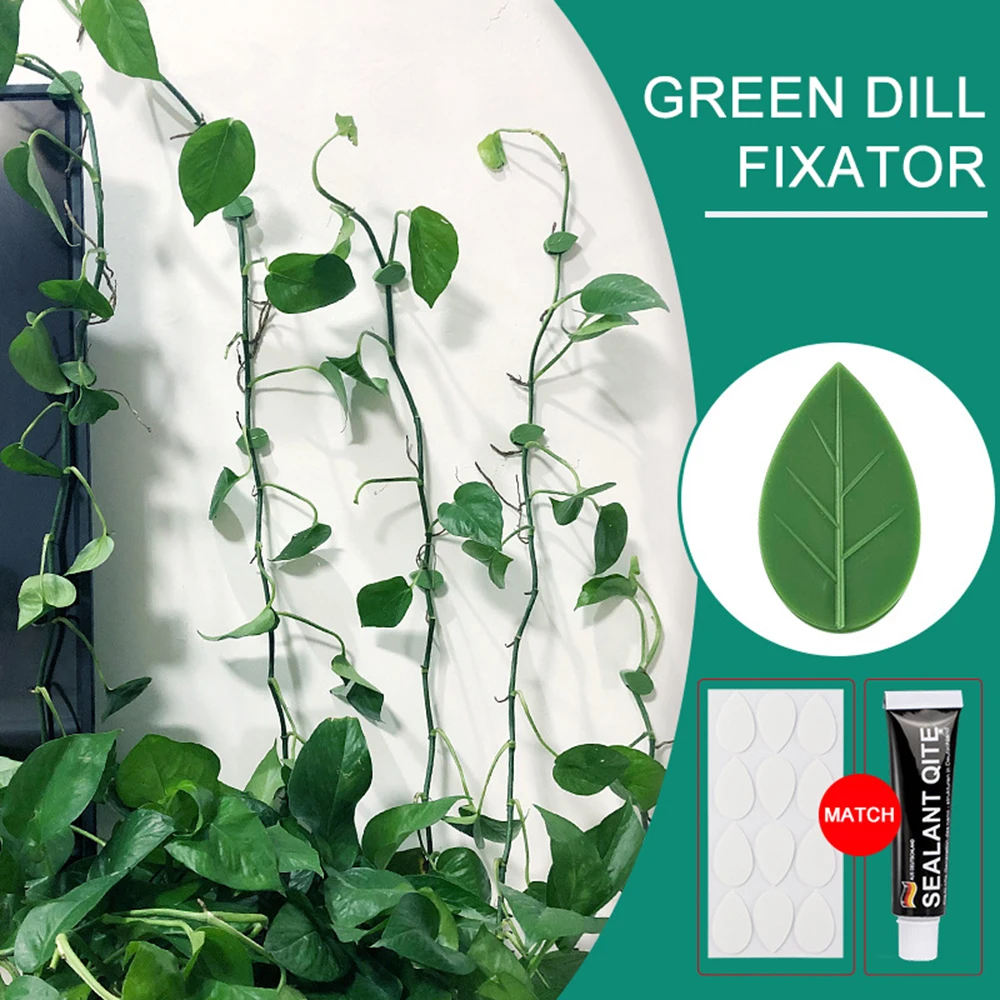 

10pcs/set Plant Fixed Bracket With Glue Plastic Wall Rattan Clamp Clip Vine Climbing Stick Self-Adhesive Fixer Stent Home Decor
