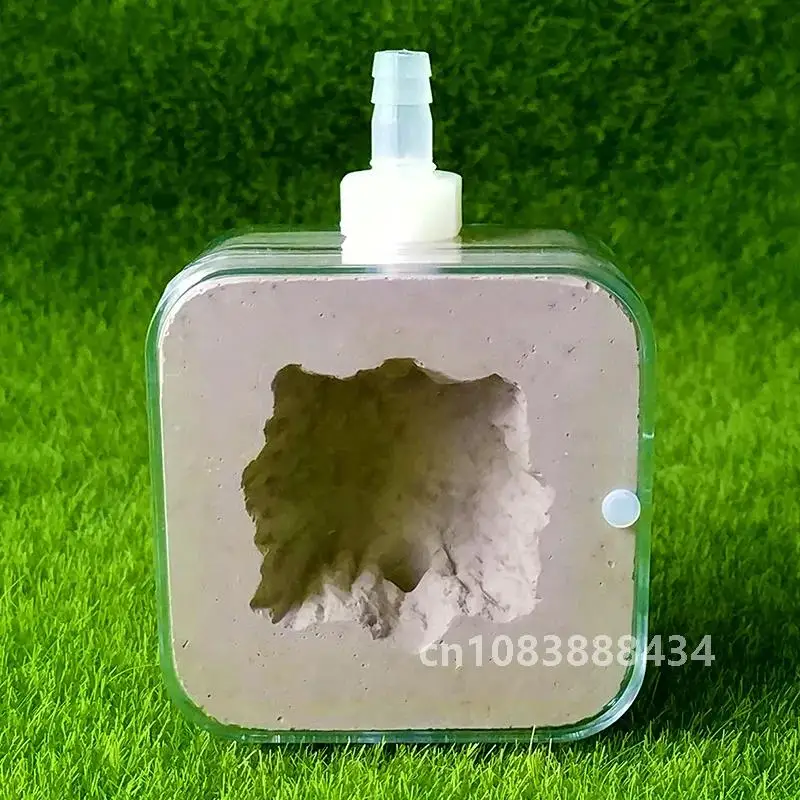 Имитация муравьев экологическое гнездо маленький самолет внешнее гипсовое