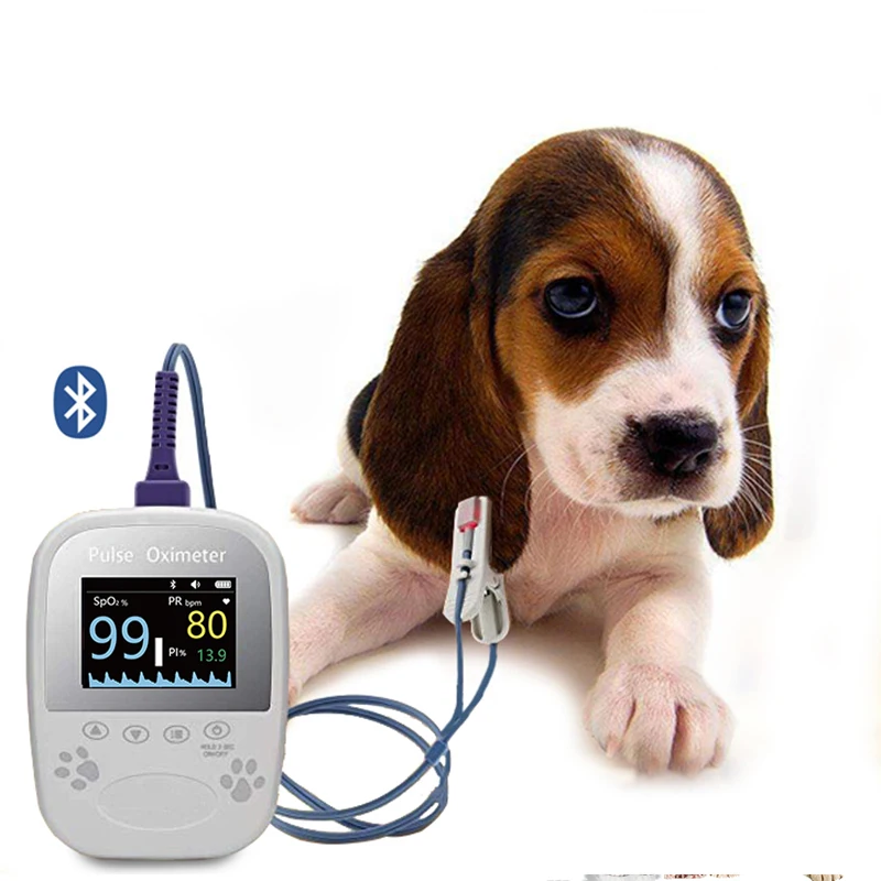 BM1000A-I BERRY Vet Medical Bluetooth Free App Пульсоксиметр Ветеринарный Точное и дешевое