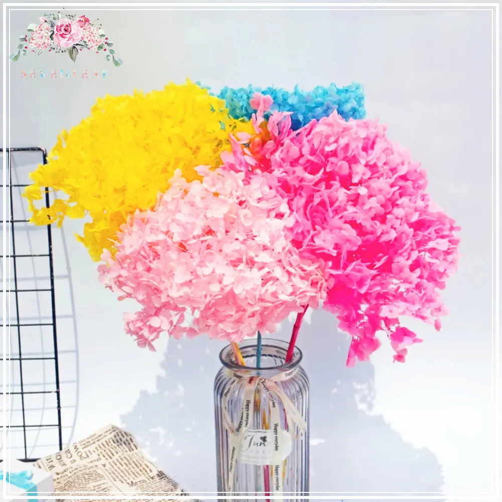 

32g/Lot Natural Hydrangea Dried Flowers Fresh Preserved Flowers Leaves Flower Heads for Craft Garden Decor Material Accessorie