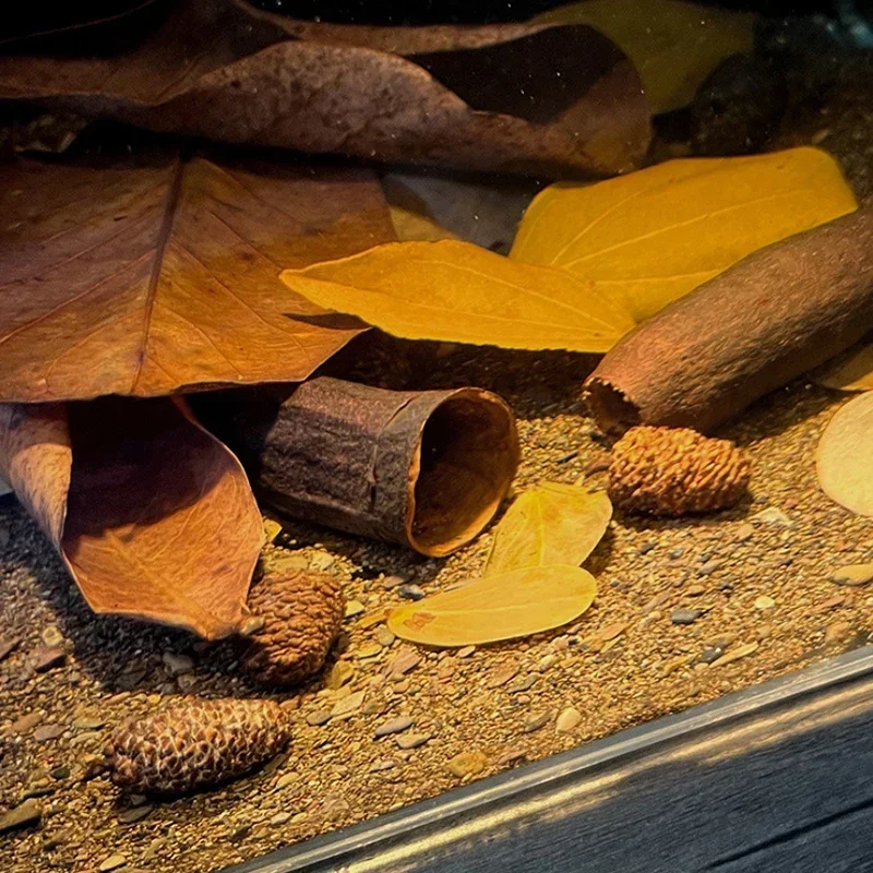 Натуральное Украшение Для Аквариума Пещера Cichlid Репродукция Среды Обитания рыба