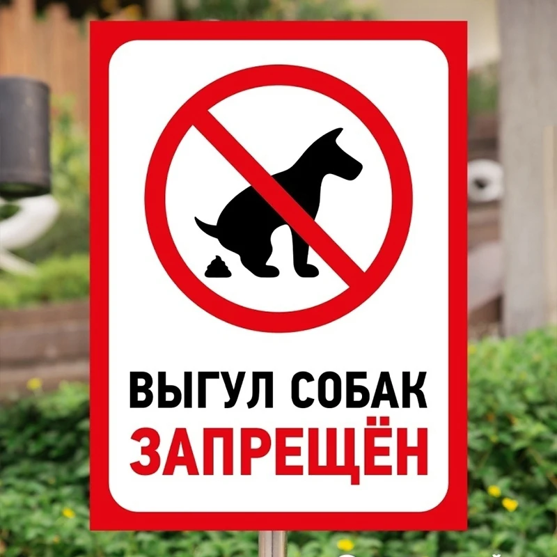 Выгул Собак Цена
