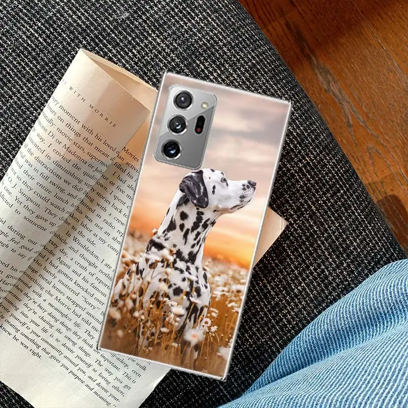 Умный чехол для телефона с пятнистой собакой Galaxy Samsung A03 A03S A13 A23 A33 A53 A73 A54 A34 A24 A14 5G A04