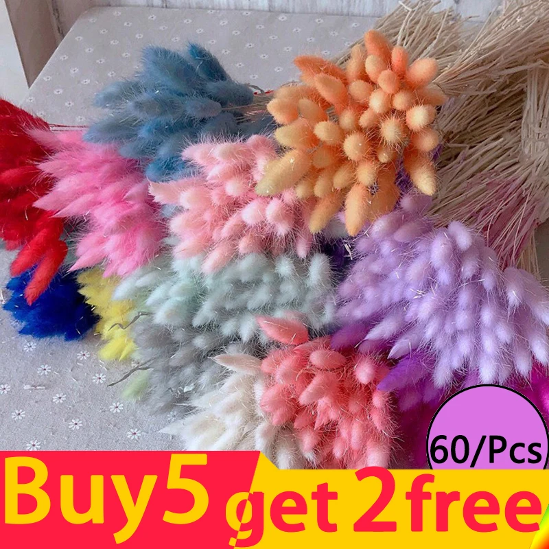 

2 Pieces Free Shipping 3 Free 1 Natural Dried Flowers Bunny Tail Pampas Reed Dried Bouquet Wedding Party Decoration Plants