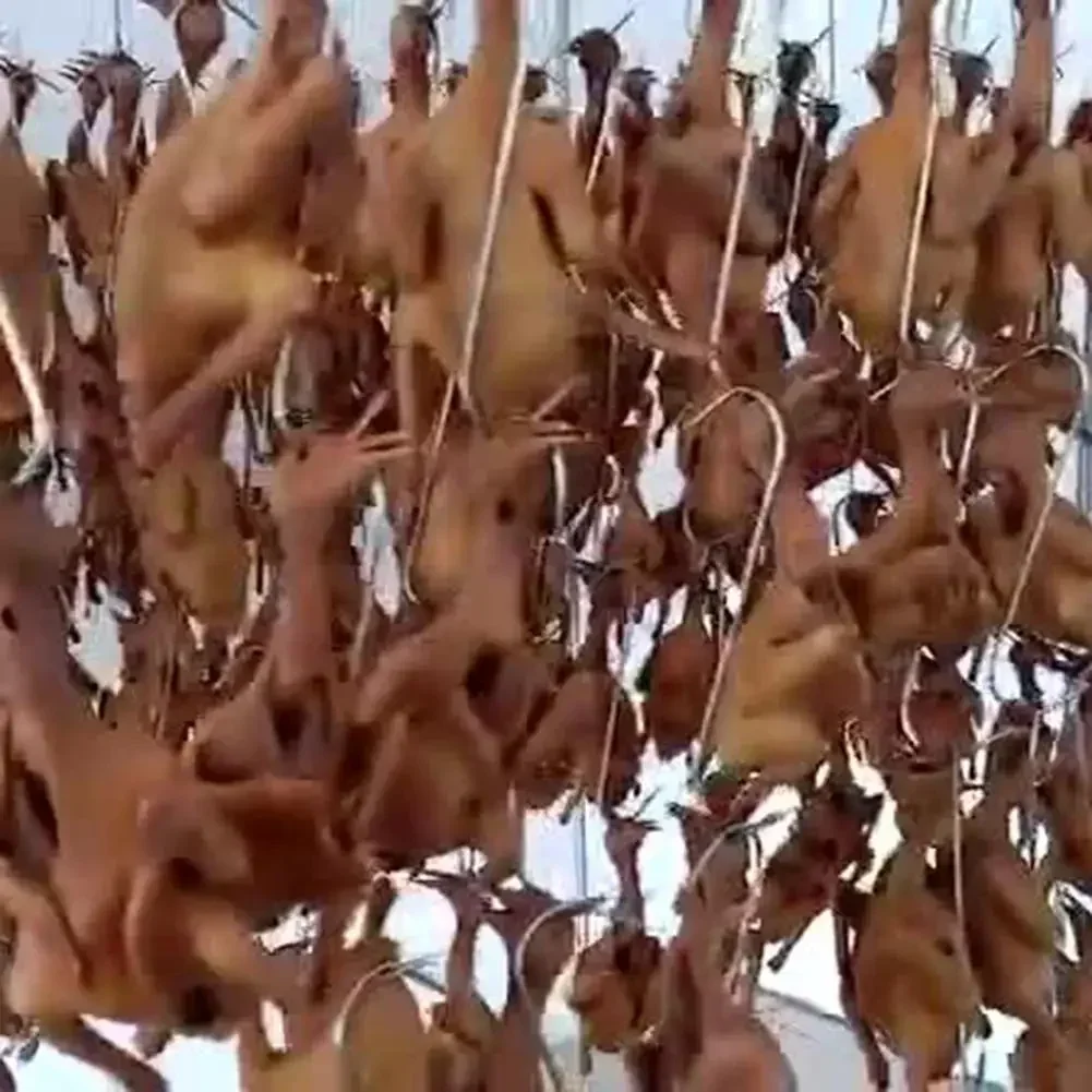 10 шт. вешалка для одежды мяса подвесные крючки из нержавеющей стали S-крючки с