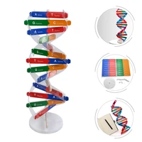 1 set science kit science teaching aids science educational instrument dna model for teaching assembly build