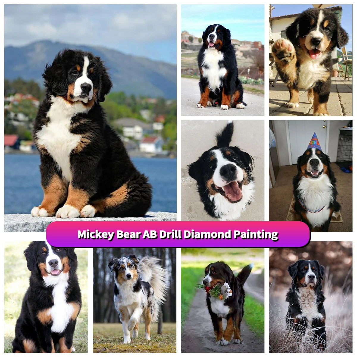 

AB Diamond Painting Rhinestone DIY Full Square Round Drill Dog Diamond Embroidery Animal Cross Stitch Mosaic Home Decor Art Gift