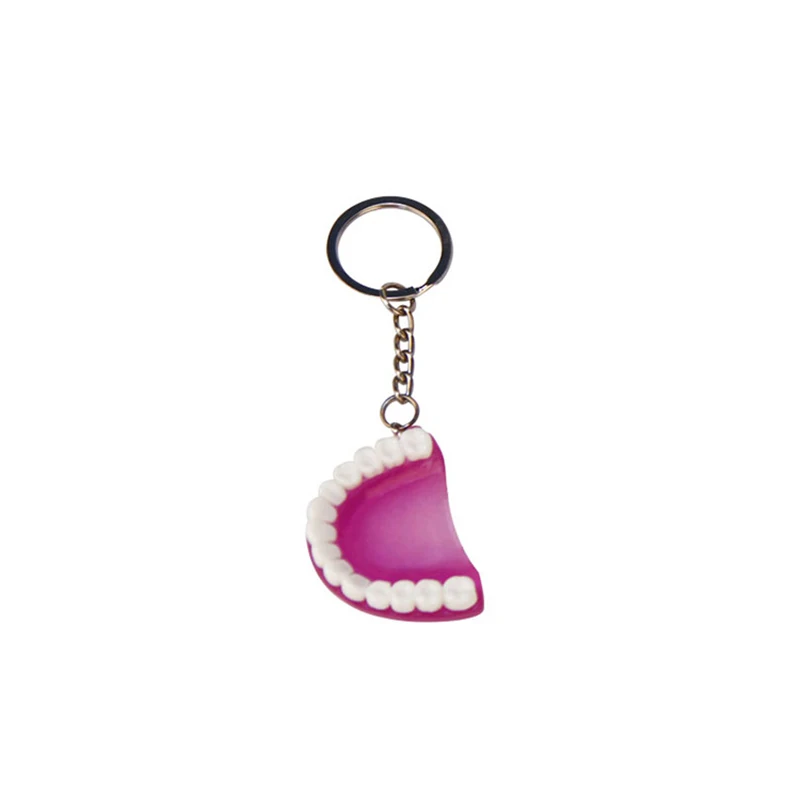 New Colorful Dental Key Chain Molar Upper Jaw Model Shape Denture Keychains Small Pendant Keyring Clinic Gift Jewelry |