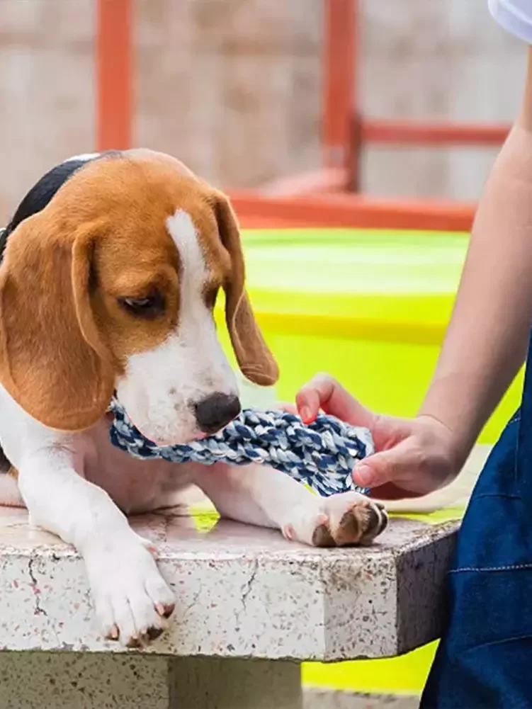 

Новинка, пищалка в виде педали, игрушки для питомцев, набор игрушек для питомцев, 14 упаковок игрушек для щенков, мягкие плюшевые игрушки для ...