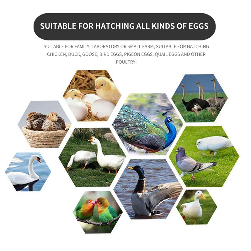 NEW-Zl-7901A 100-240Vac Pid многофункциональный автоматический инкубатор контроллер