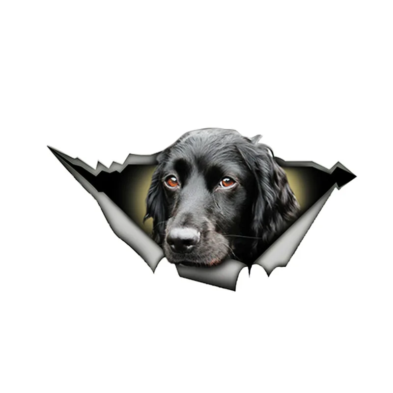 

N375 # Автомобильная наклейка, черный кокер-спаниель, водонепроницаемая виниловая наклейка, автомобильные аксессуары, наклейка для самостоят...