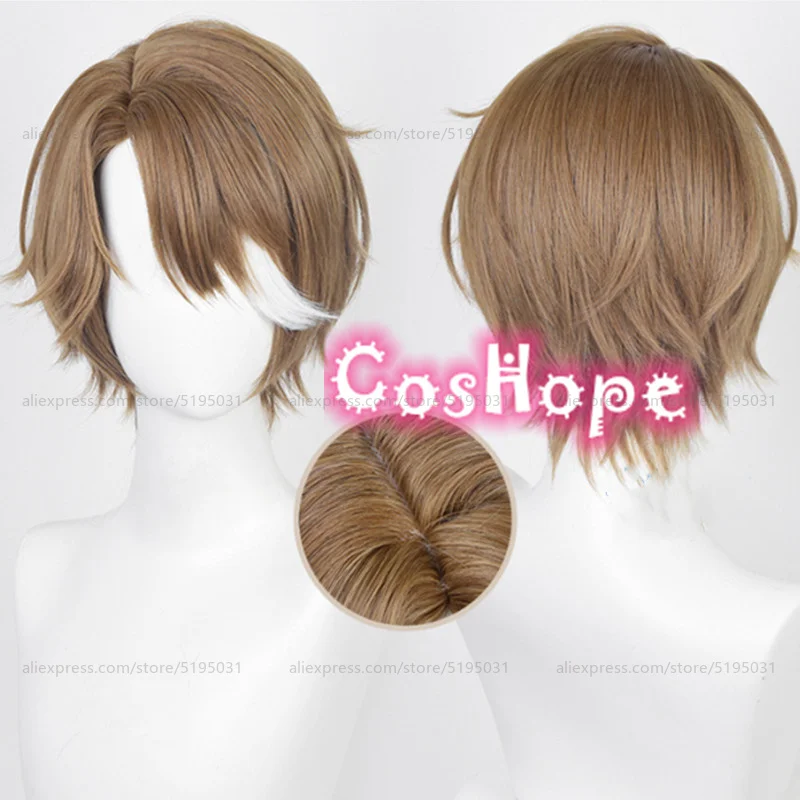 

Honkai Star Rail Welt Yang Cosplay Wig 30cm Short Brown White Wig Cosplay Anime Cosplay Wigs Heat Resistant Synthetic Wigs