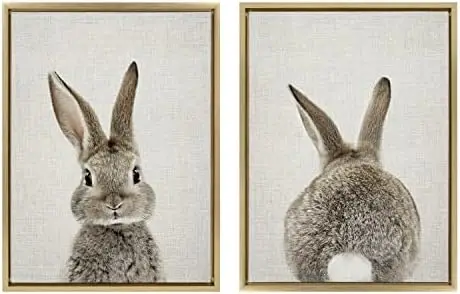 

Bunny Portrait And Bunny Tail Framed Canvas By Amy Peterson, 18x24 Natural, Cute Baby Animal Decor Toilet bound hanako Classr