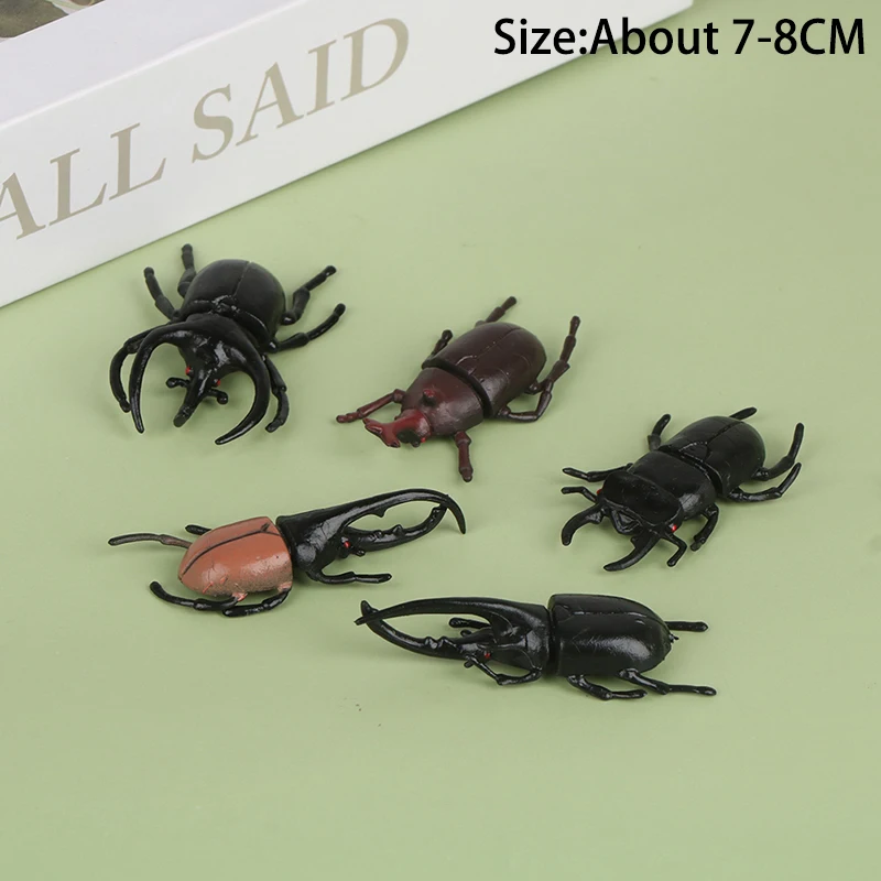 

5pcs/Set Simulation Beetle Toys Special Lifelike Model Simulation Insect Toy Nursery Teaching Aids Joke Toys 7-8CM