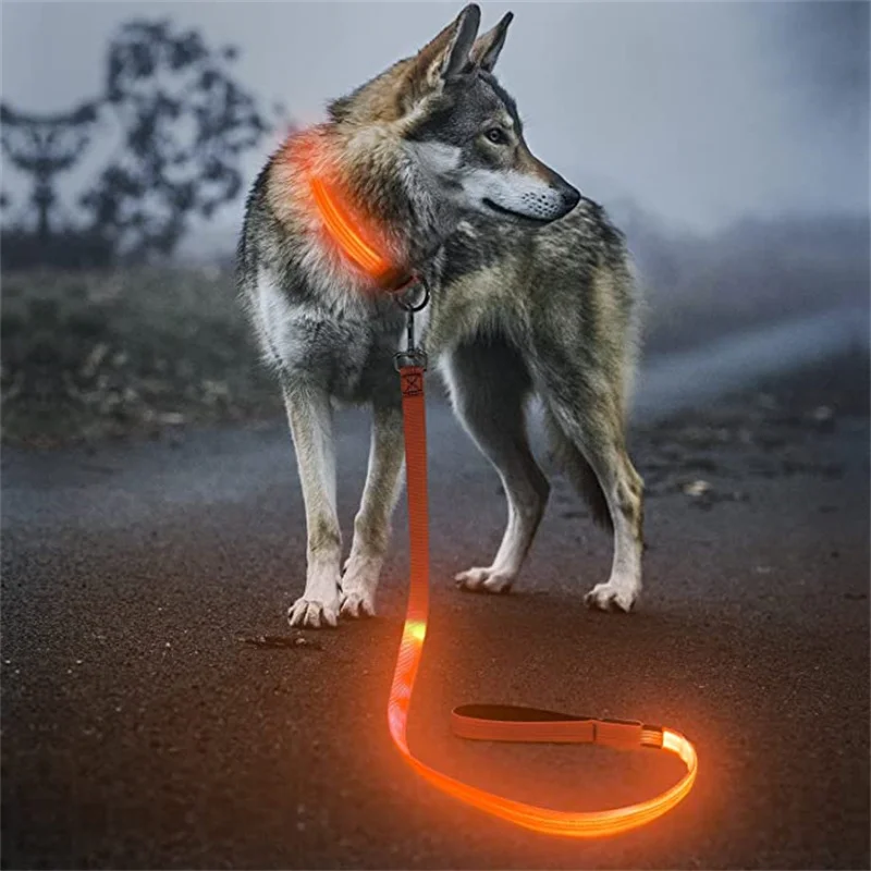 

Usb Rechargeable Pet Dog Flashing Nylon Webbing Leashes-Keep Your Pets Safe In Darkness 3 Lighting Modes Glowing Led Dog Leash