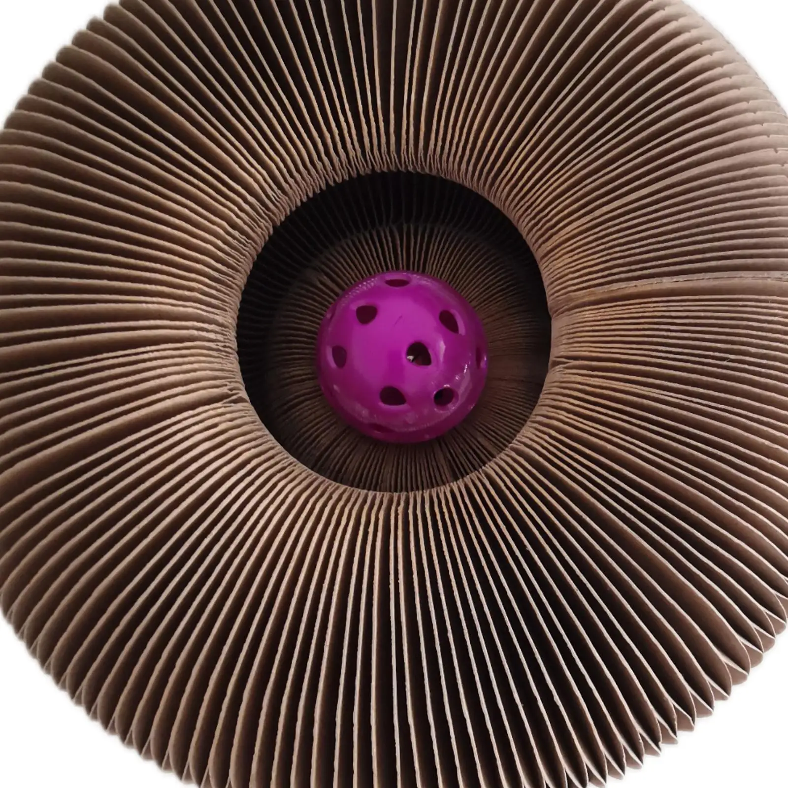 

Durable Scratcher Cat Toy Cardboard Ball Track Supplies Grinding Paws Kitten