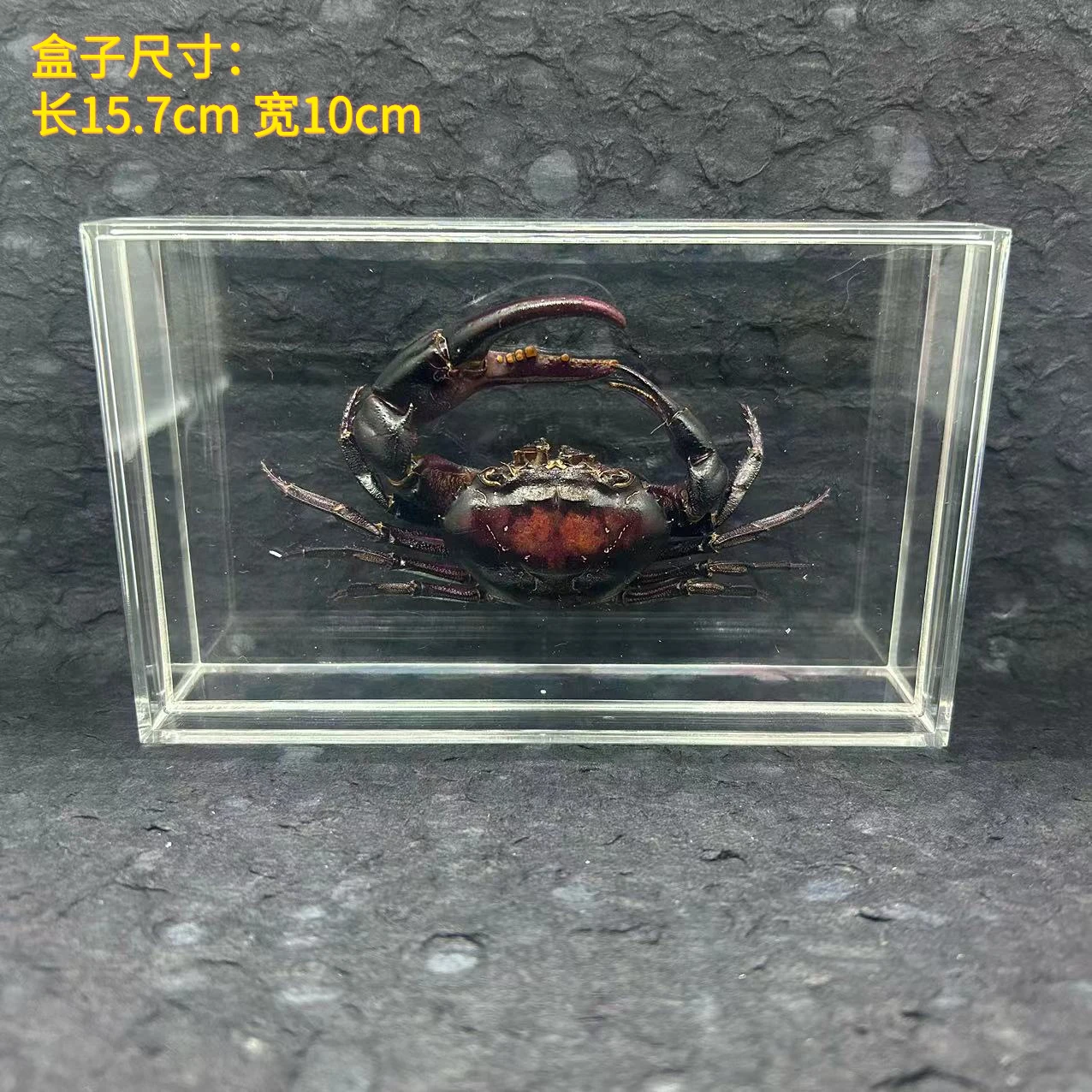 

Фоторамка с настоящим крабом