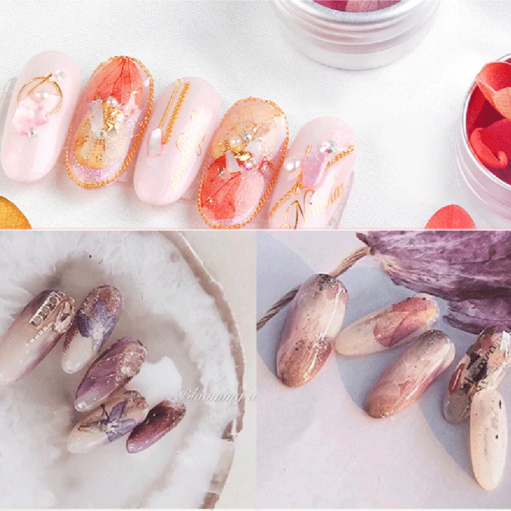 Гортензия цвет в ассортименте