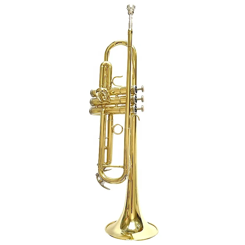 

OEM production beginner player Bb trumpet gold lacquered fixed ring trumpet