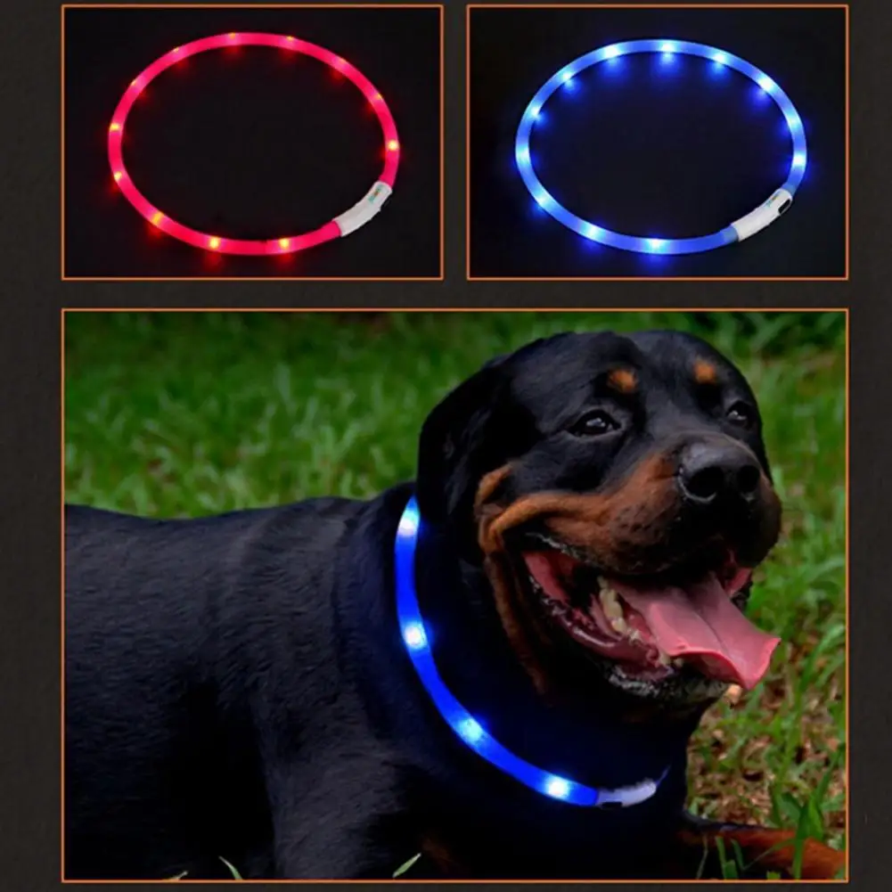 

Wear-resistant Wear-resistant Dog Loss Preventions Luminous Collar for Birthday Gift