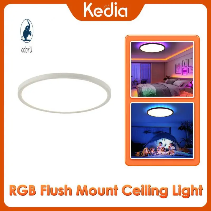 

Ip20 Waterproof Bedroom Lamp Dimmable Remote Control Light Flush Mount Color Changing Ultra Thin Light Smart Light Diy