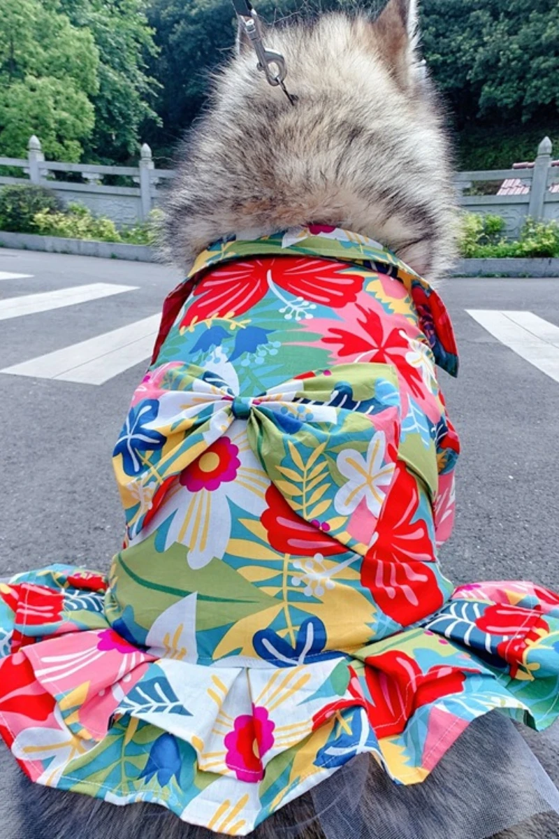 Summer Taste Dog Cat Bow Dress Teddy Bichon Alaska Golden Retriever Satsuma Cute Big Flower