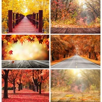 natural scenery photography background fall leaves forest landscape travel photo backdrops studio props 211224 qqtt 02