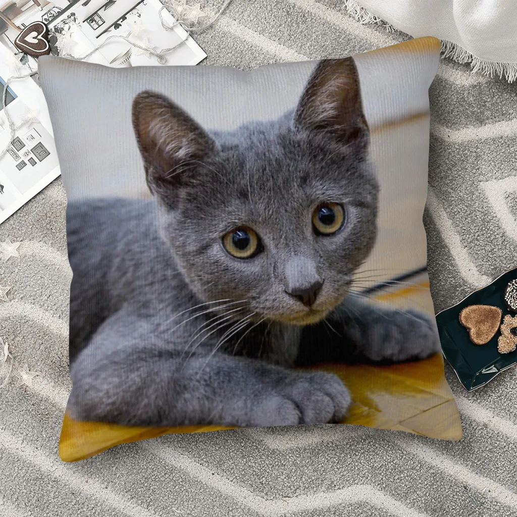

Декоративный Чехол-Подушка с изображением русской синей кошки и милого котенка
