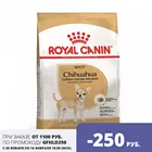 Royal Canin Chihuahua Adult для собак породы чихуахуа, 1,5 кг