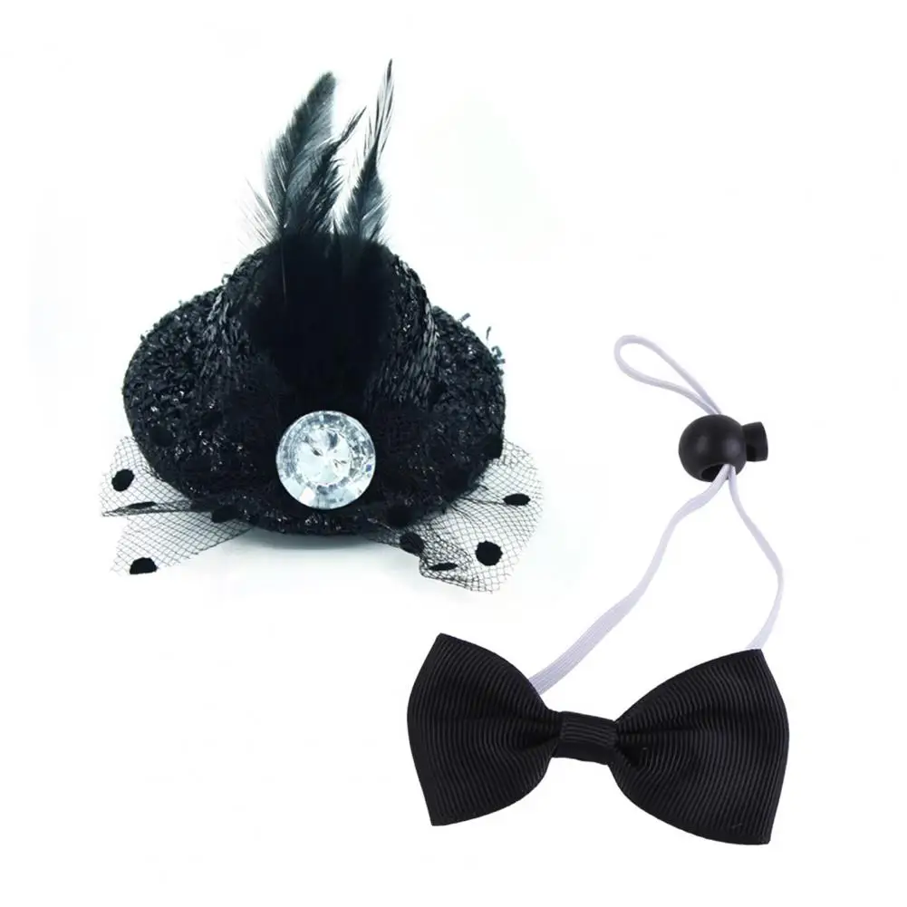 

Eye-catching Excellent Funny Hat with Cat Collar Set Photography Prop Bright Color Dog Cap Feather Design Pet Product