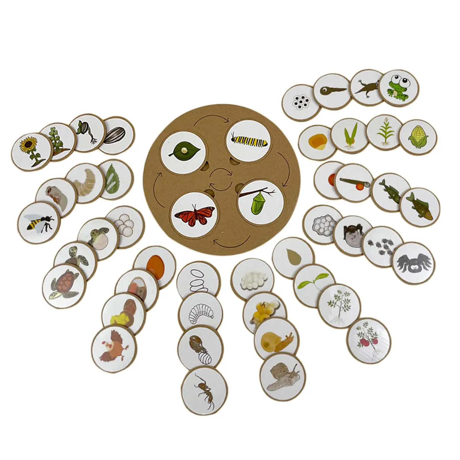 

Поднос для раннего образовательного цикла, подходящая игра для обучения, реквизит для студентов и детей