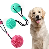pet sucker toy puppy molar chew ball teeth cleaning teething stick bouncy ball dog chew french bulldog labrador toy accessories