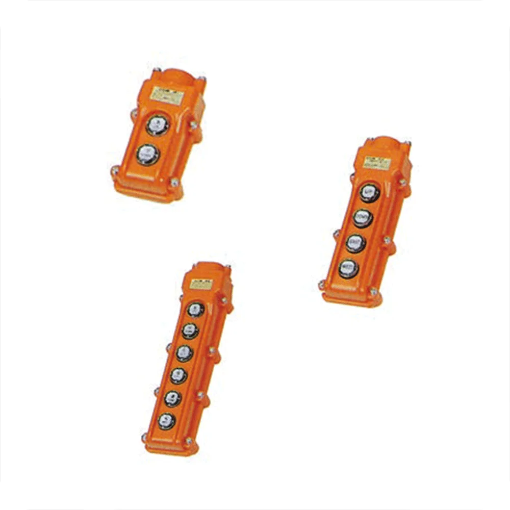 

Push Button Hoist Control Switches