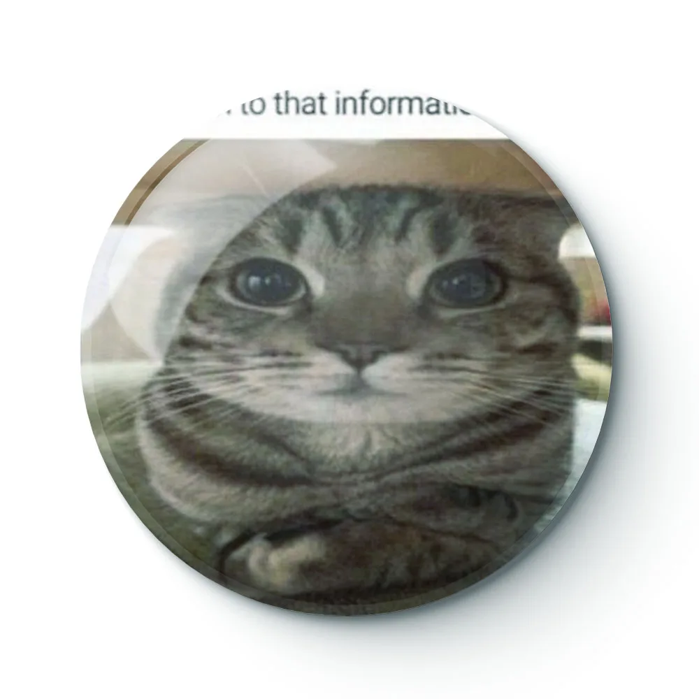 

CAT MEME 008 Buttons Brooches Pin Jewelry Accessory Customize Brooch Fashion Lapel Badges