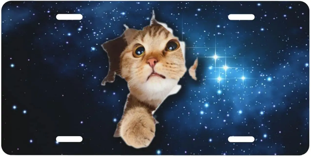 

Cat Scratching Through The Starry Sky License Plate Decorative Metal Vanity Car Tag for Women Girls Men Aluminum Front Car Tag