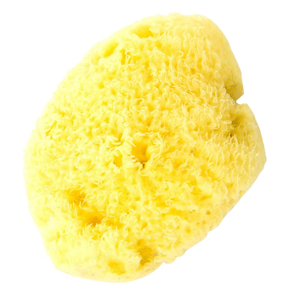 

Sponge Sponges Artist Greek Seapainting Absorbing Texturing Sponging Pottery Clay