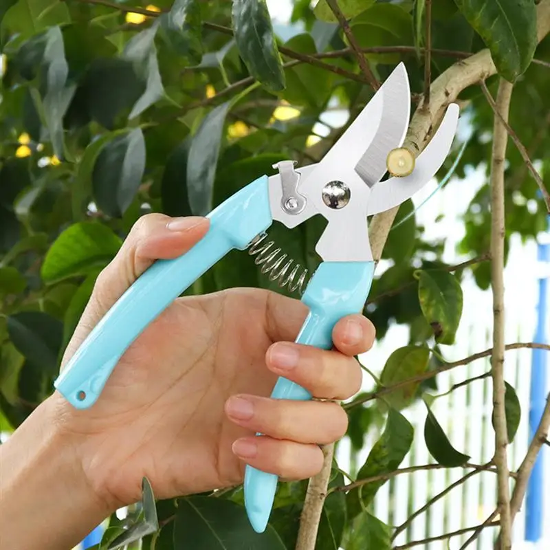 

Professional Garden Pruning Scissor Garden Hand Tools Bonsai For Scissors Gardening Machine Chopper Pruning Shears Brush Cutter
