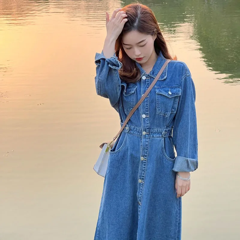 Осенняя одежда для женщин 2024 новое французское платье High Sense Demin длинная юбка