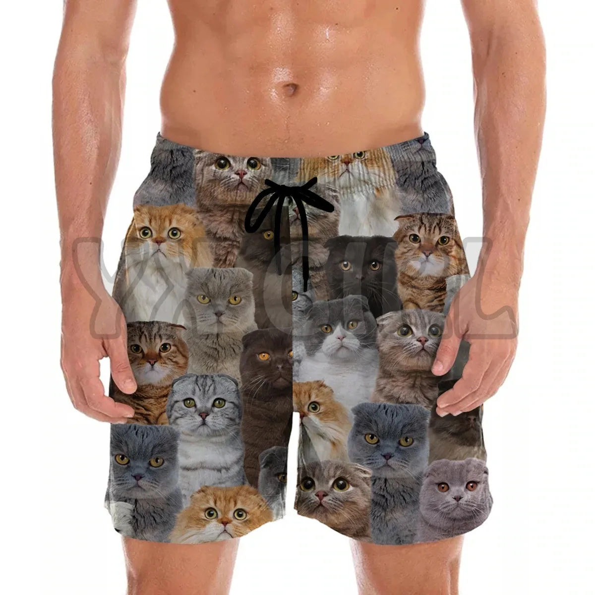 You get a lot of Scottish Terrier Shorts 3D All Over Printed Men's Shorts Quick Drying Beach Shorts Summer Beach Swim Trunks